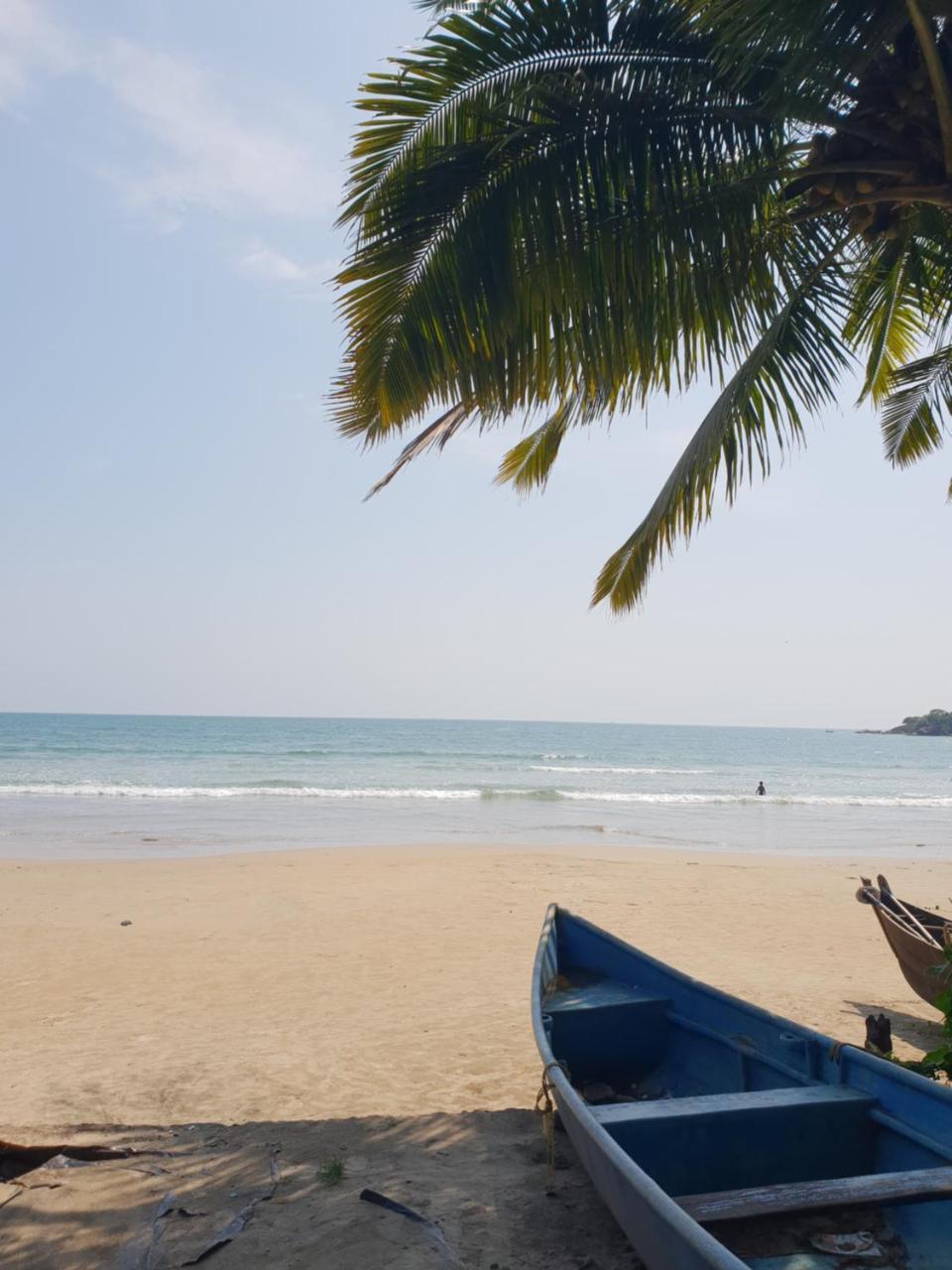 Palm Forest 팔로렘 외부 사진