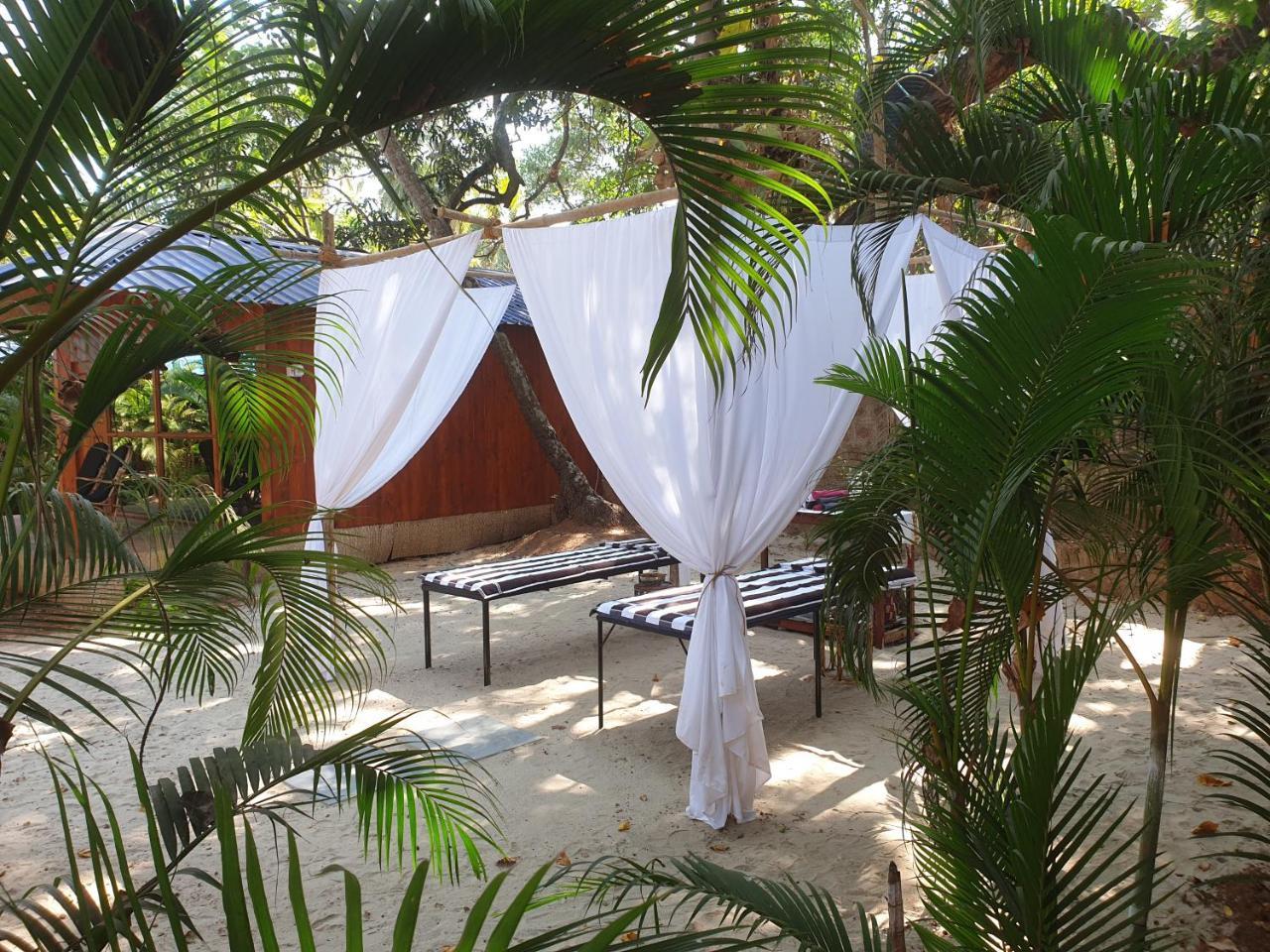 Palm Forest 팔로렘 외부 사진