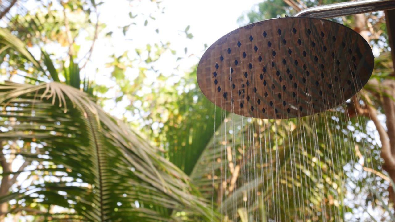 Palm Forest 팔로렘 외부 사진